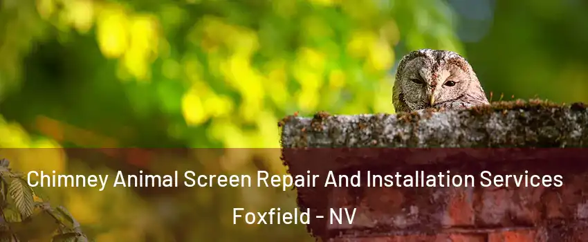 Chimney Animal Screen Repair And Installation Services Foxfield - NV
