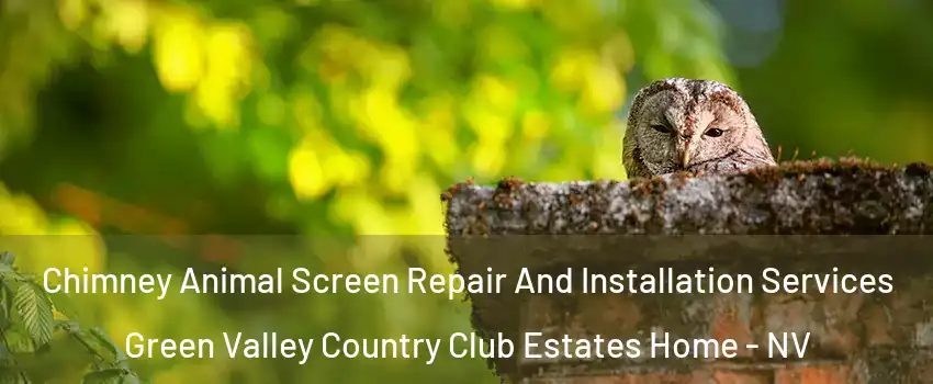 Chimney Animal Screen Repair And Installation Services Green Valley Country Club Estates Home - NV