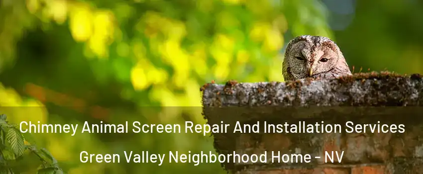 Chimney Animal Screen Repair And Installation Services Green Valley Neighborhood Home - NV