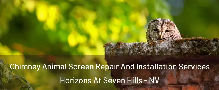 Chimney Animal Screen Repair And Installation Services Horizons At Seven Hills - NV