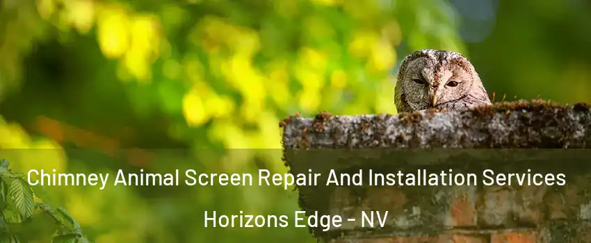 Chimney Animal Screen Repair And Installation Services Horizons Edge - NV