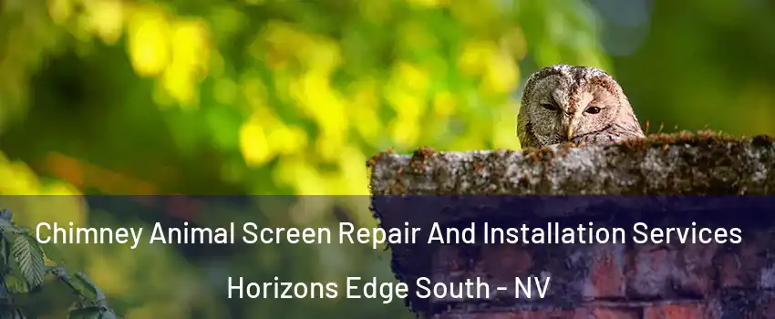 Chimney Animal Screen Repair And Installation Services Horizons Edge South - NV