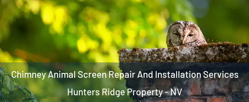 Chimney Animal Screen Repair And Installation Services Hunters Ridge Property - NV