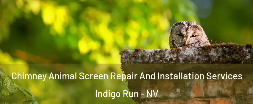 Chimney Animal Screen Repair And Installation Services Indigo Run - NV