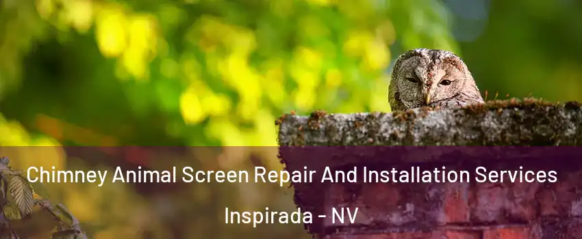 Chimney Animal Screen Repair And Installation Services Inspirada - NV