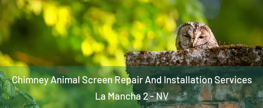 Chimney Animal Screen Repair And Installation Services La Mancha 2 - NV