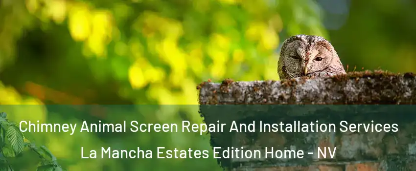 Chimney Animal Screen Repair And Installation Services La Mancha Estates Edition Home - NV