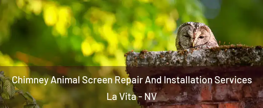 Chimney Animal Screen Repair And Installation Services La Vita - NV