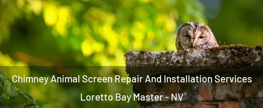 Chimney Animal Screen Repair And Installation Services Loretto Bay Master - NV