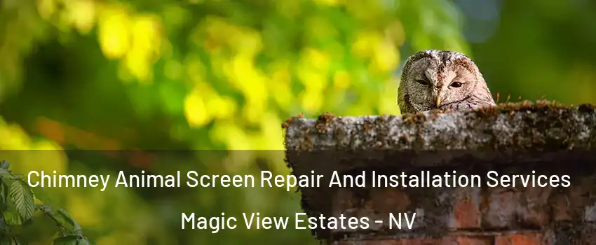 Chimney Animal Screen Repair And Installation Services Magic View Estates - NV