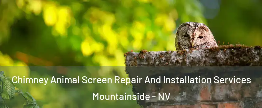 Chimney Animal Screen Repair And Installation Services Mountainside - NV
