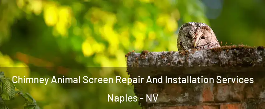 Chimney Animal Screen Repair And Installation Services Naples - NV