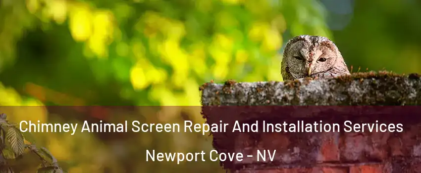 Chimney Animal Screen Repair And Installation Services Newport Cove - NV