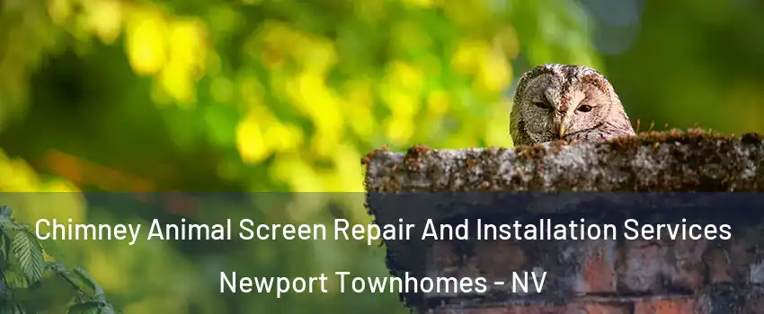 Chimney Animal Screen Repair And Installation Services Newport Townhomes - NV