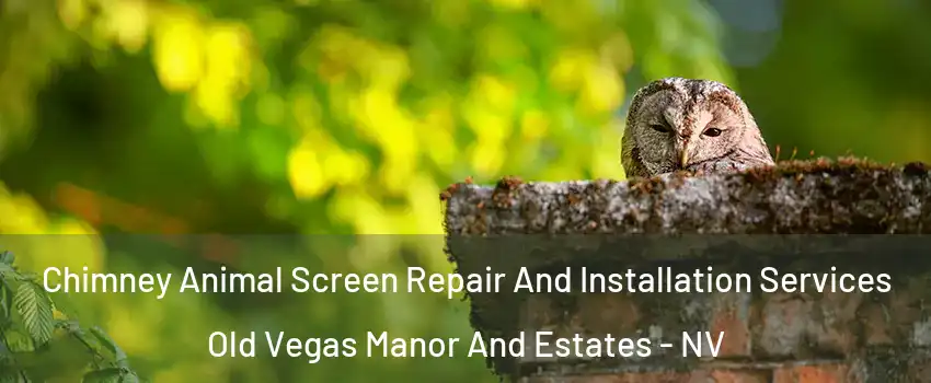Chimney Animal Screen Repair And Installation Services Old Vegas Manor And Estates - NV