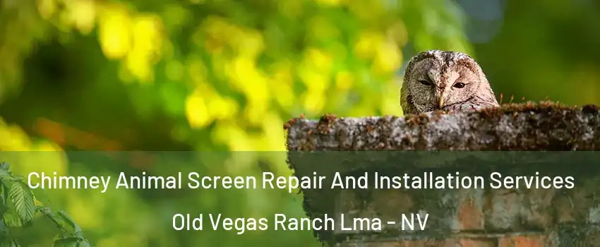 Chimney Animal Screen Repair And Installation Services Old Vegas Ranch Lma - NV