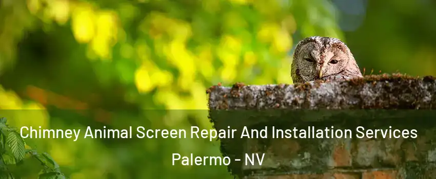 Chimney Animal Screen Repair And Installation Services Palermo - NV