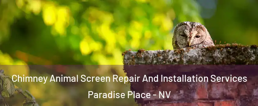 Chimney Animal Screen Repair And Installation Services Paradise Place - NV