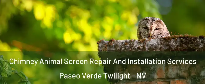 Chimney Animal Screen Repair And Installation Services Paseo Verde Twilight - NV