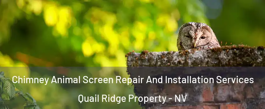 Chimney Animal Screen Repair And Installation Services Quail Ridge Property - NV