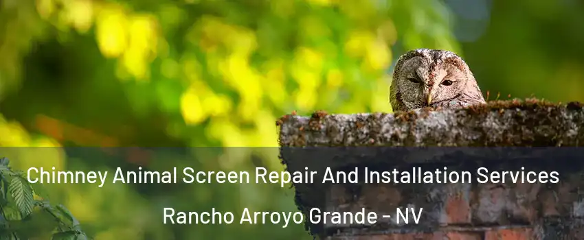 Chimney Animal Screen Repair And Installation Services Rancho Arroyo Grande - NV