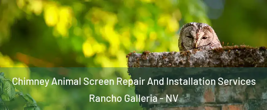 Chimney Animal Screen Repair And Installation Services Rancho Galleria - NV