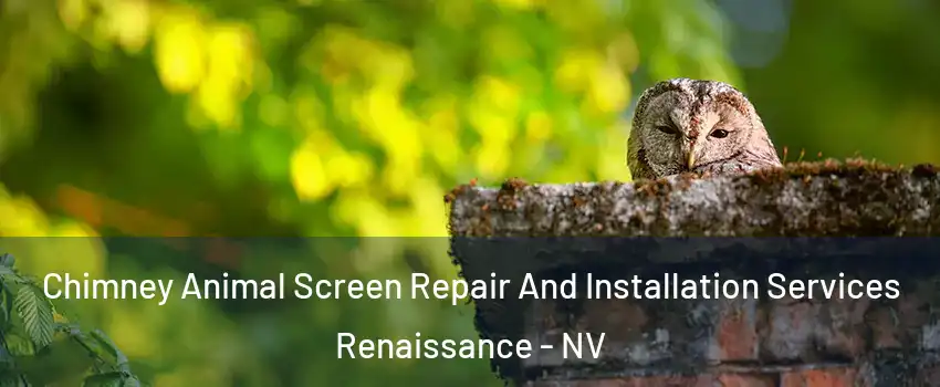 Chimney Animal Screen Repair And Installation Services Renaissance - NV