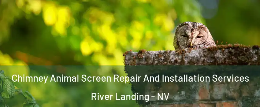 Chimney Animal Screen Repair And Installation Services River Landing - NV