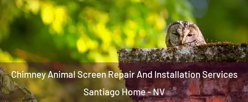 Chimney Animal Screen Repair And Installation Services Santiago Home - NV