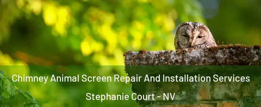 Chimney Animal Screen Repair And Installation Services Stephanie Court - NV