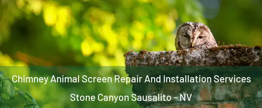 Chimney Animal Screen Repair And Installation Services Stone Canyon Sausalito - NV