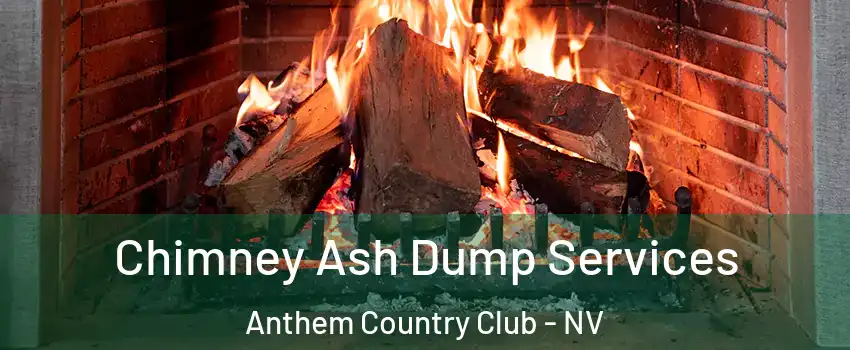 Chimney Ash Dump Services Anthem Country Club - NV