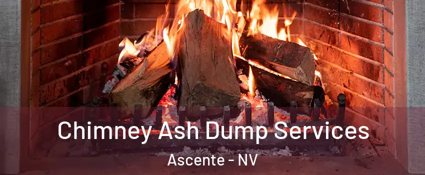 Chimney Ash Dump Services Ascente - NV