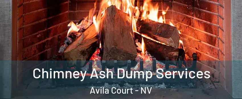 Chimney Ash Dump Services Avila Court - NV