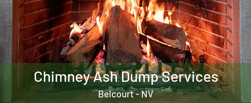 Chimney Ash Dump Services Belcourt - NV