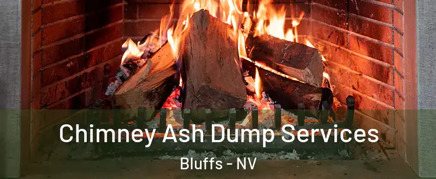 Chimney Ash Dump Services Bluffs - NV