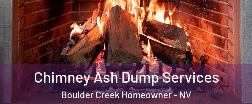 Chimney Ash Dump Services Boulder Creek Homeowner - NV