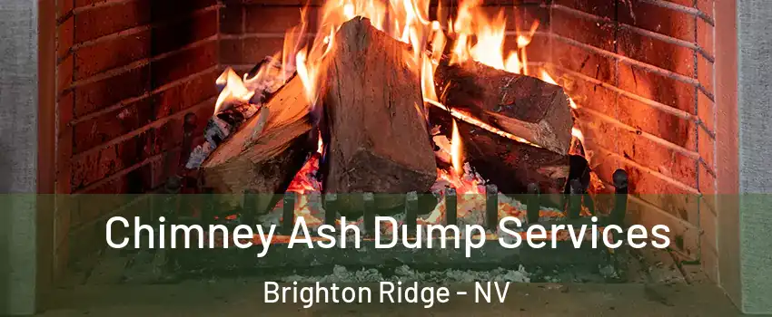 Chimney Ash Dump Services Brighton Ridge - NV