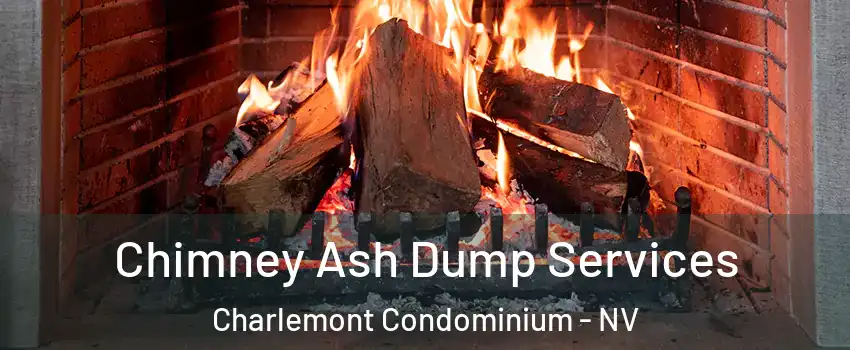 Chimney Ash Dump Services Charlemont Condominium - NV