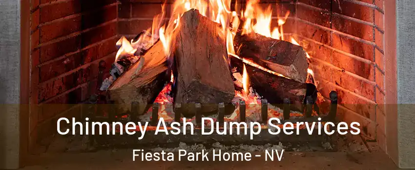 Chimney Ash Dump Services Fiesta Park Home - NV