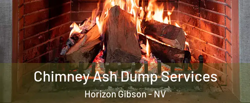 Chimney Ash Dump Services Horizon Gibson - NV