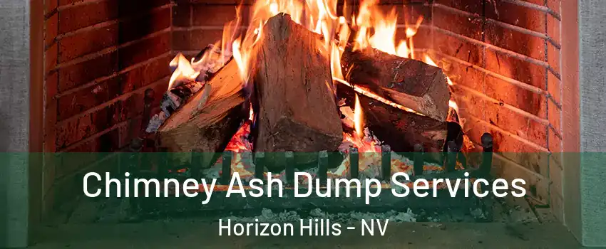 Chimney Ash Dump Services Horizon Hills - NV