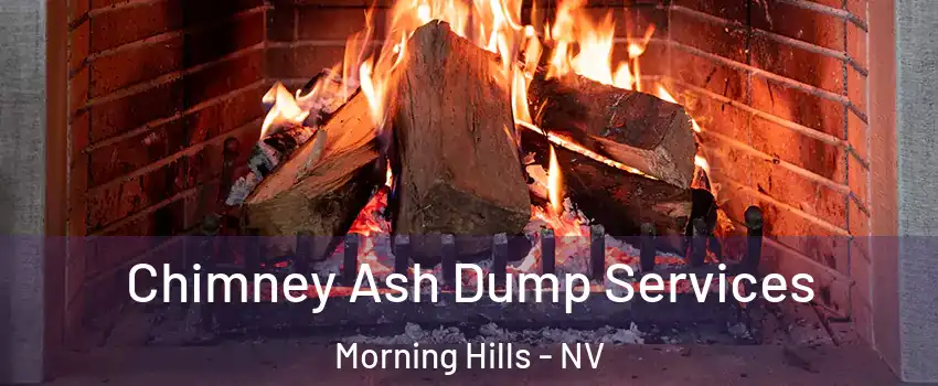 Chimney Ash Dump Services Morning Hills - NV
