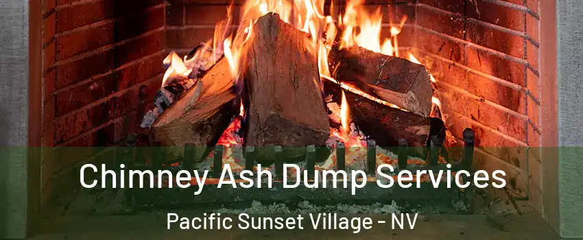 Chimney Ash Dump Services Pacific Sunset Village - NV