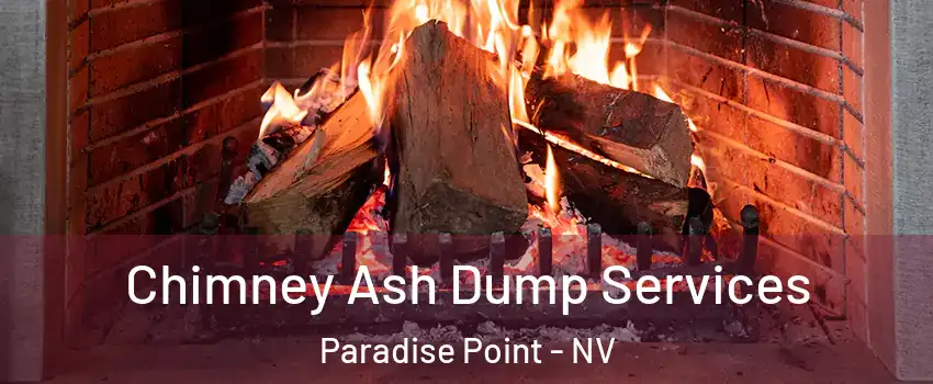Chimney Ash Dump Services Paradise Point - NV