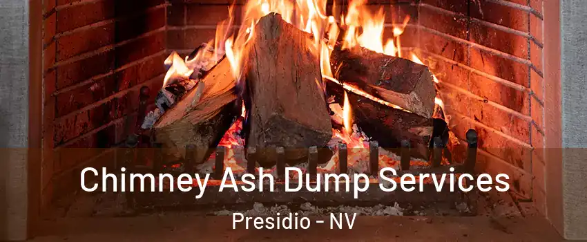 Chimney Ash Dump Services Presidio - NV