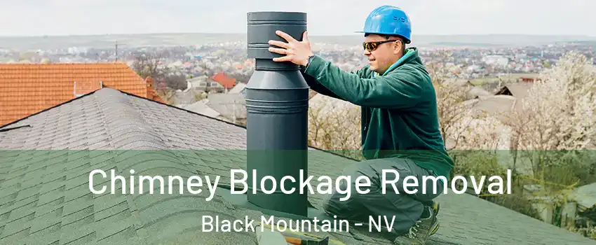Chimney Blockage Removal Black Mountain - NV