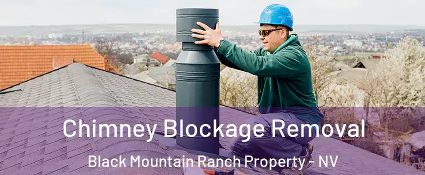Chimney Blockage Removal Black Mountain Ranch Property - NV