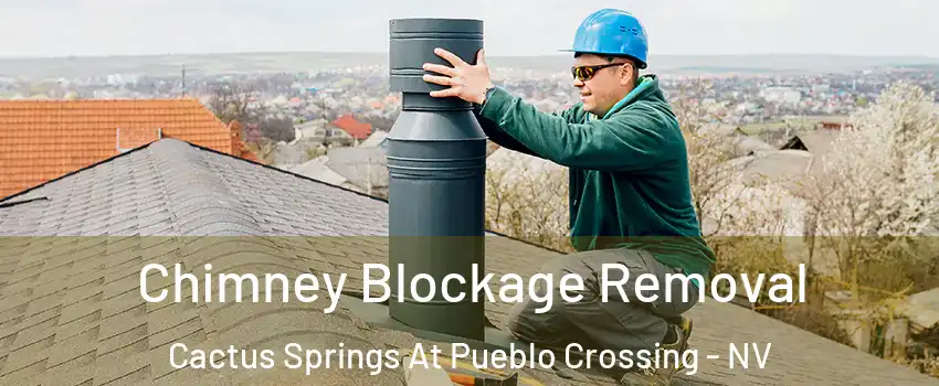 Chimney Blockage Removal Cactus Springs At Pueblo Crossing - NV