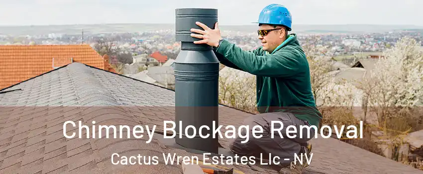 Chimney Blockage Removal Cactus Wren Estates Llc - NV
